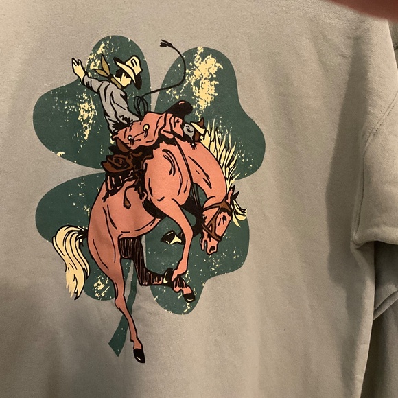 Hayes Eco, smart, lucky, horse, sweatshirt, size, medium - Picture 2 of 4